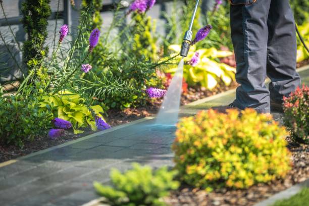 Best Gutter Cleaning  in Desoto, TX